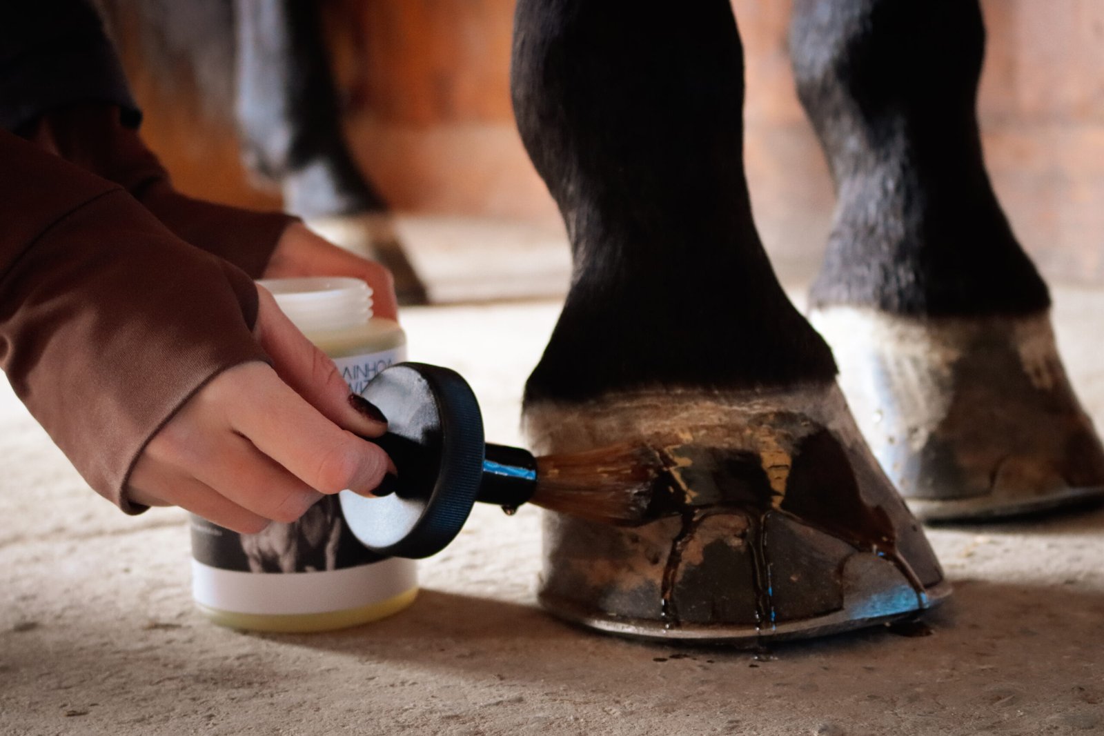 Harmonia Hoof Oil - Imagen 2